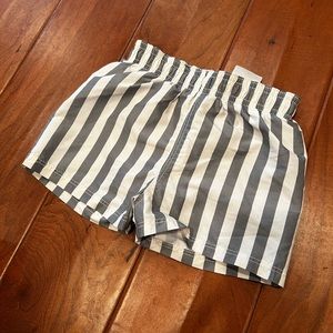 H & M Striped Swim Shorts